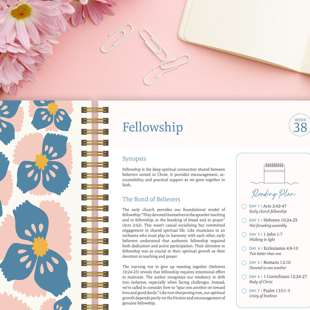 The 52-Week Bible Journey - Deepen Your Faith, Without Getting Lost + 50% OFF