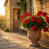 Arbora™ – UV Resistant Silk Artificial Geranium Flowers for Outdoor & Indoor Decor + 50% OFF