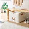 Alcove™ – Foldable Shoe Storage Box with Adjustable Dividers, Dustproof Lid & Handles | Holds 8-16 Pairs + 50% OFF