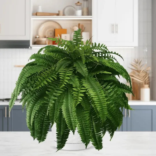 The AuraFern Realistic Boston Fern — Lush, Maintenance-Free Greenery 50% OFF