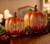 The Starry Night Pumpkin - A Galaxy Sealed in Glass + 50% OFF