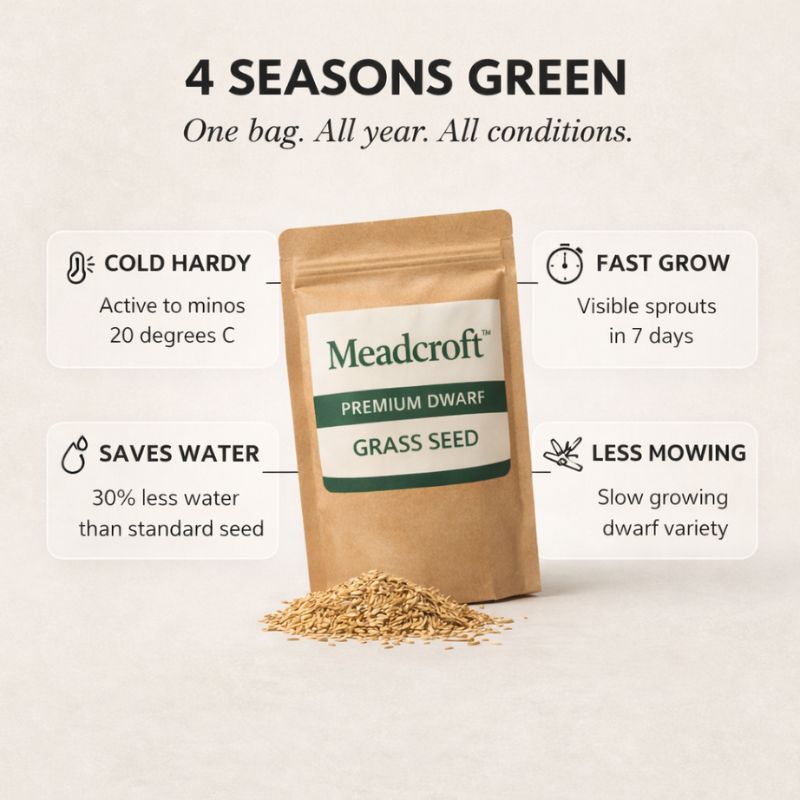 Tillage™ – Four-Season Evergreen, No-Mow, Pet-Friendly Lawn Grass Seeds + 50% OFF