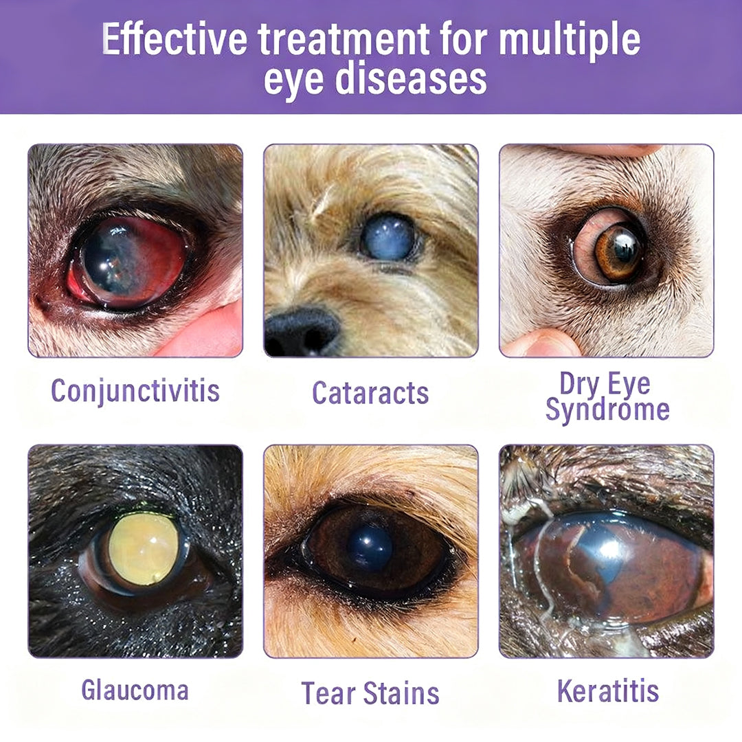 Zakdavi NanoCare - Clear Eyes, Happy Pet + 50% OFF