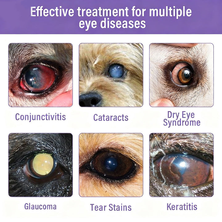 Zakdavi NanoCare - Clear Eyes, Happy Pet + 50% OFF