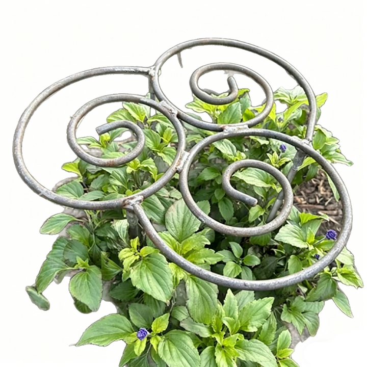 Filigra™ – Heavy-Duty Iron Scroll Peony &amp; Flower Support Frame + 50% OFF